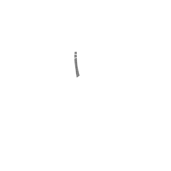 Bürgerverein Wappen_negativ